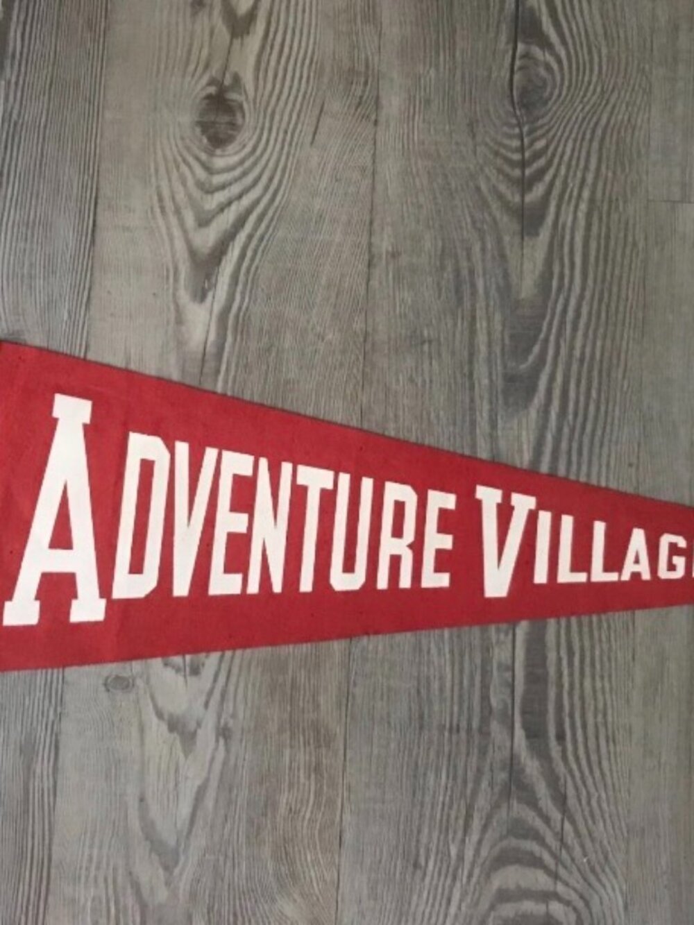 1950's Adventure Village Egg Harbor Atlantic City Amusement Park Pennant LGBTQ